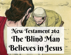 NT 262 - The Blind Man Believes in Jesus